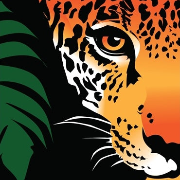 Saving rainforests helps protect endangered species, indigenous people and the climate.