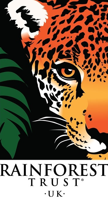 Saving rainforests helps protect endangered species, indigenous people and the climate.